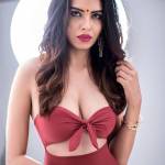 Saloni Rani Profile Picture