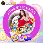 WSO55 slotgacor Profile Picture