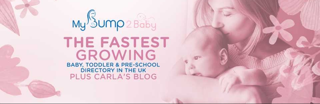 MyBump2Baby Cover Image