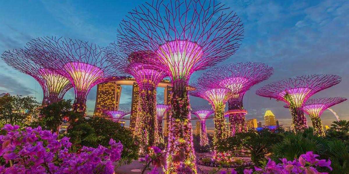 Exploring the Allure of Singapore Tourism: Fun Places, Culinary Delights, and Must-Buy Souvenirs