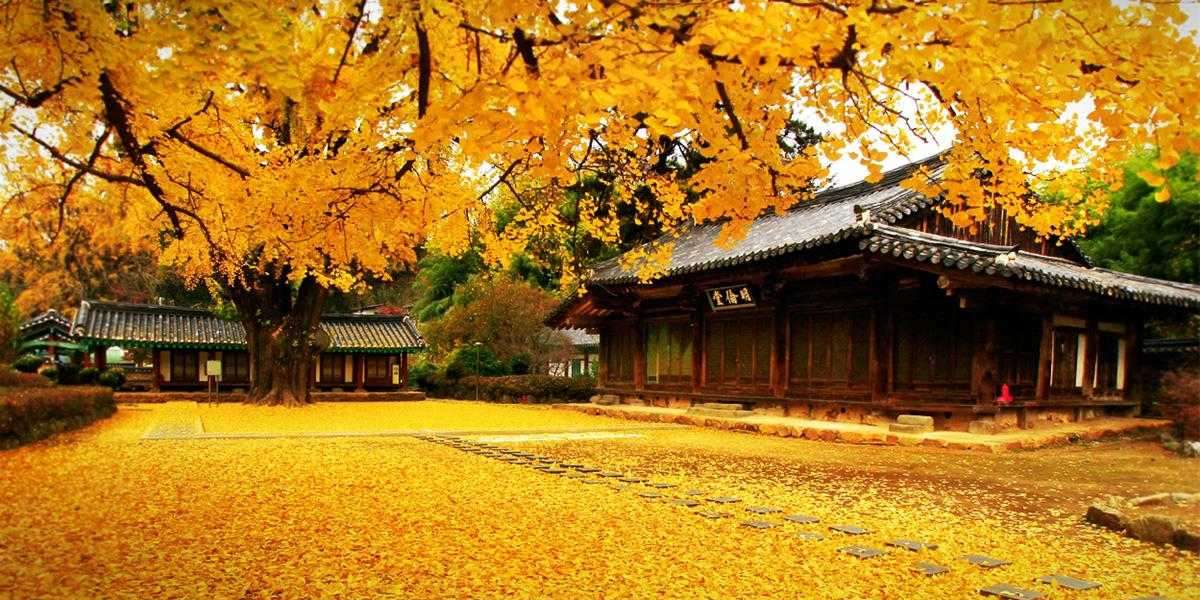 Popular Korean Tourist Places Autumn