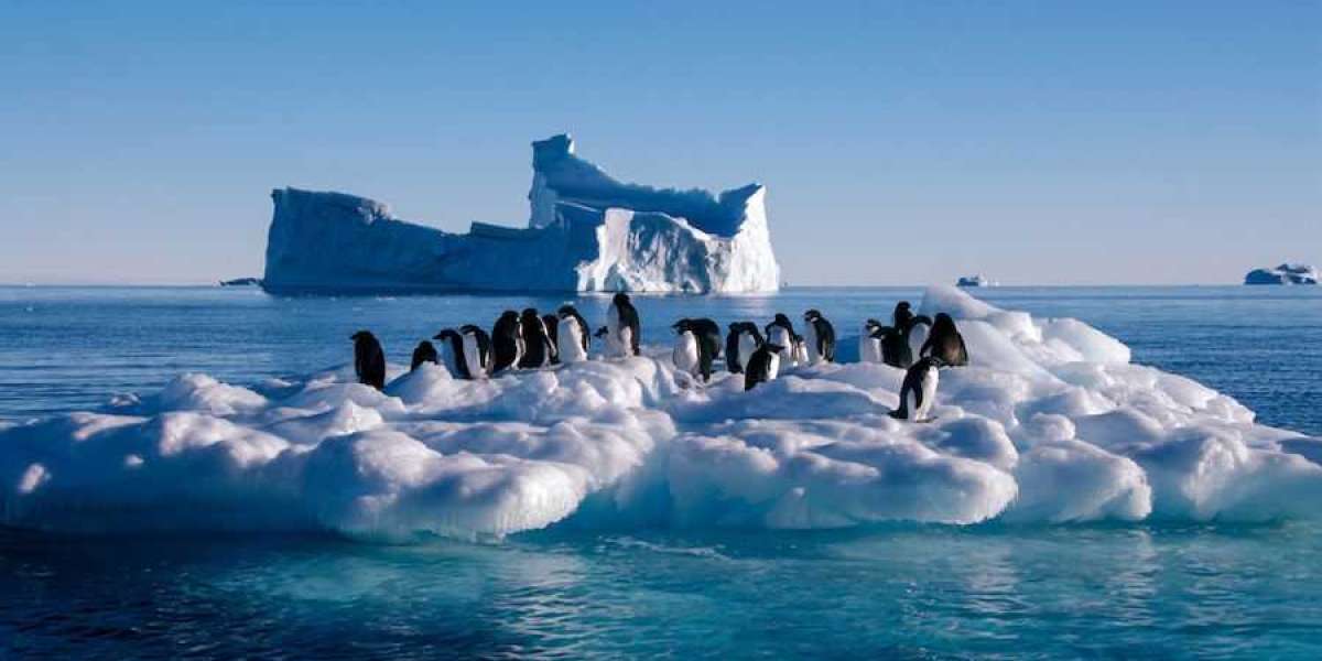 Experience Antarctica Travel with Le Austral Cruise 5*