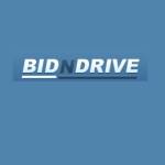 Bidn drive Profile Picture