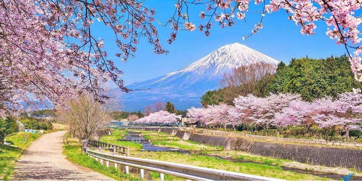 When is the best time to travel to Japan? What season is beautiful?