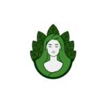 Body and Mind Botanicals Profile Picture