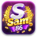 sam86 dev Profile Picture