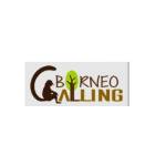 borneocalling Profile Picture