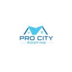 Pro City Roofing Profile Picture