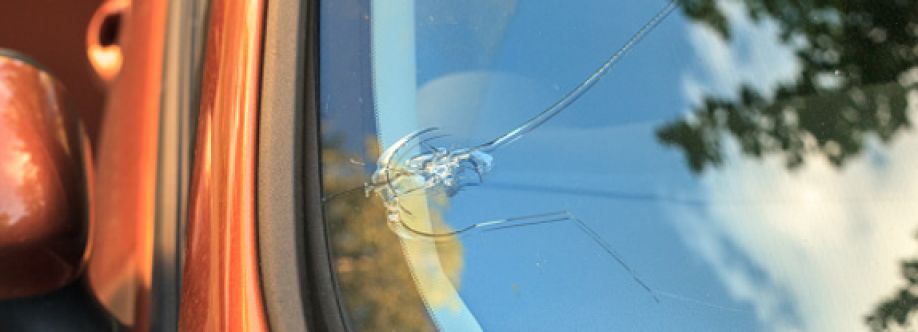 Amity Auto Glass Cover Image
