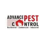 Advance Pest Control Profile Picture