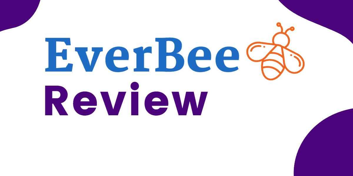 Everbee review 2023