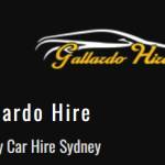 Gallardo Hire Profile Picture