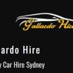 Gallardo Hire profile picture