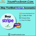 stripeacc Profile Picture