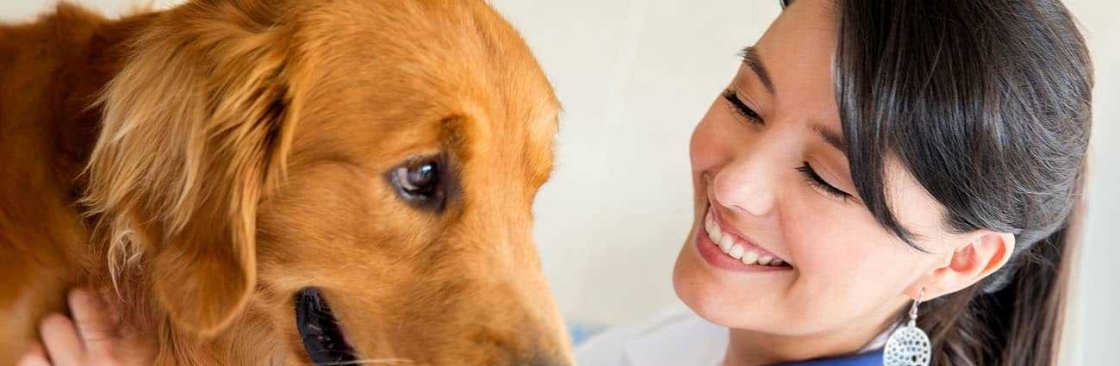 Pawsitive Vet Cover Image