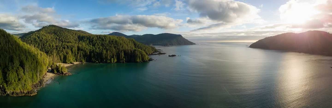 shearwater Cover Image