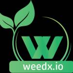 weedwise writer profile picture