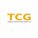 Trident Consulting Group Profile Picture