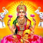 Avantika Patel Profile Picture