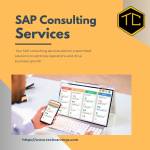 Techcarvings SAP consultant Profile Picture
