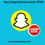 Buy Snapchat Accounts (PVA) profile picture