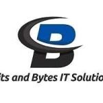 Bits and Bytes IT Solution Profile Picture