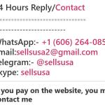 Buy Google Voice Accounts Profile Picture