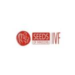 seeds innocens Profile Picture
