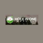 holeinonelawns Profile Picture