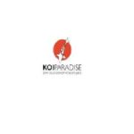koiparadise Profile Picture