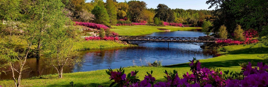 Buy Google 5 Star Reviews Cover Image