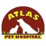 Atlas Pet Hospital Profile Picture