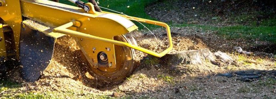 Southern Star Stump Cover Image