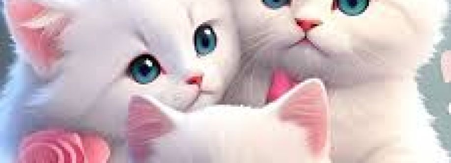 Facebook accounts Cover Image