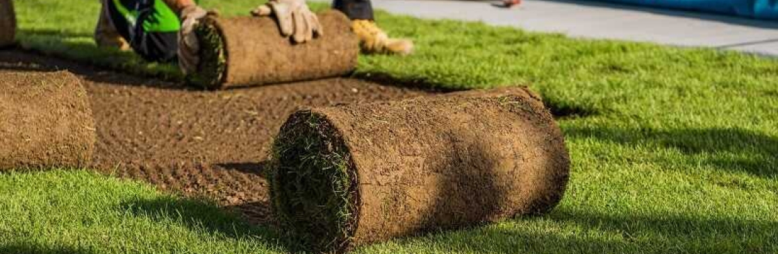 Turf Installation Sydney Cover Image