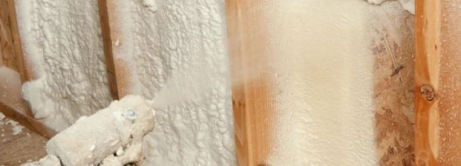 Des Moines Insulation Cover Image