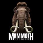 Mammoth Technologies Profile Picture