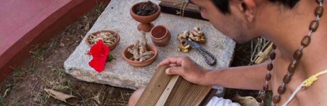 My Palm Leaf Cover Image