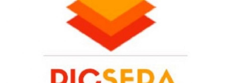 Picsera INC Cover Image