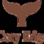 Siraka International Profile Picture