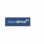 OpenDrive Profile Picture