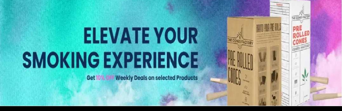 The Cones Factory Cover Image