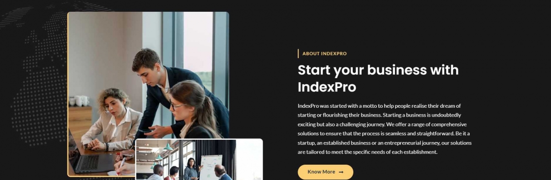 Index Pro Cover Image