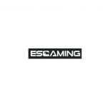 esgamingpc Profile Picture